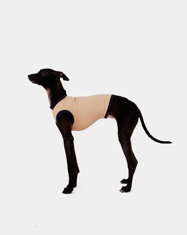 cosmeticosveganosmascotas-449807