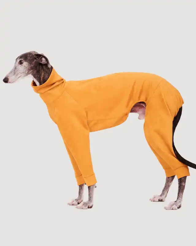cosmeticosveganosmascotas-449814