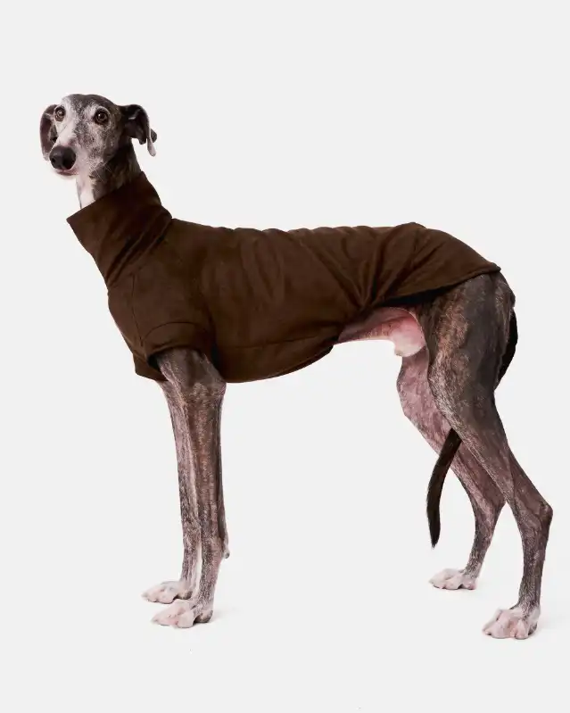 cosmeticosveganosmascotas-449828