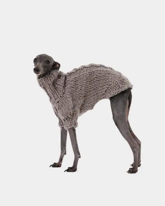 cosmeticosveganosmascotas-449857
