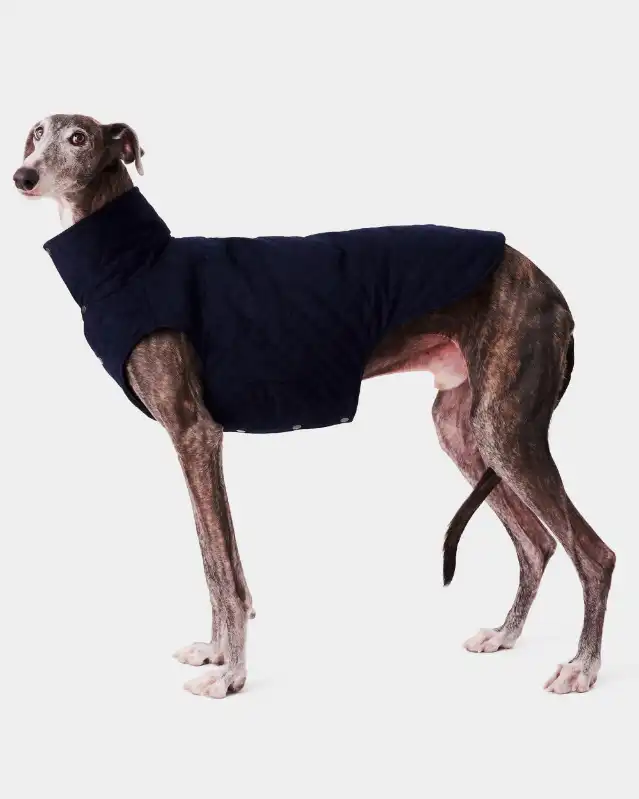 cosmeticosveganosmascotas-449865