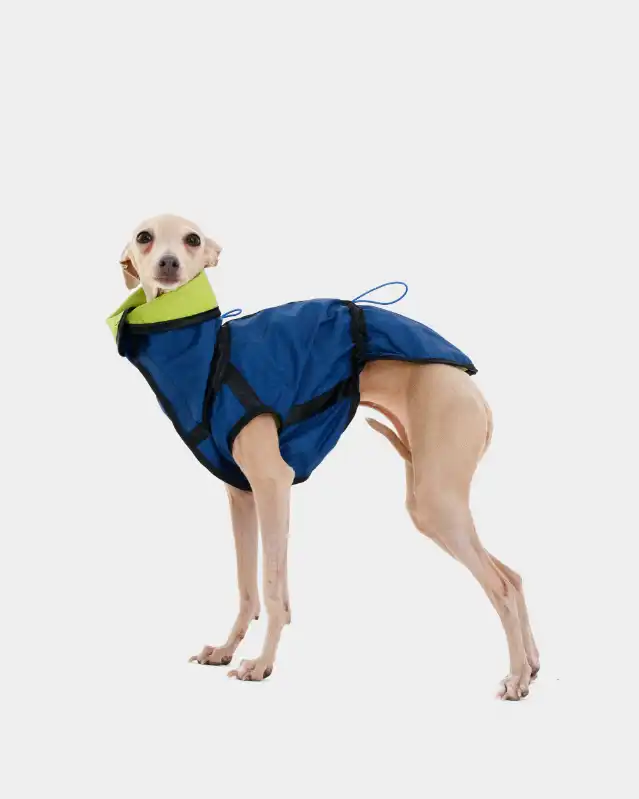 cosmeticosveganosmascotas-449871