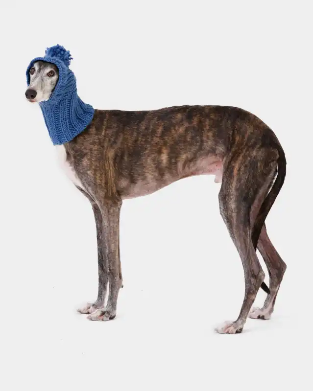 cosmeticosveganosmascotas-449883