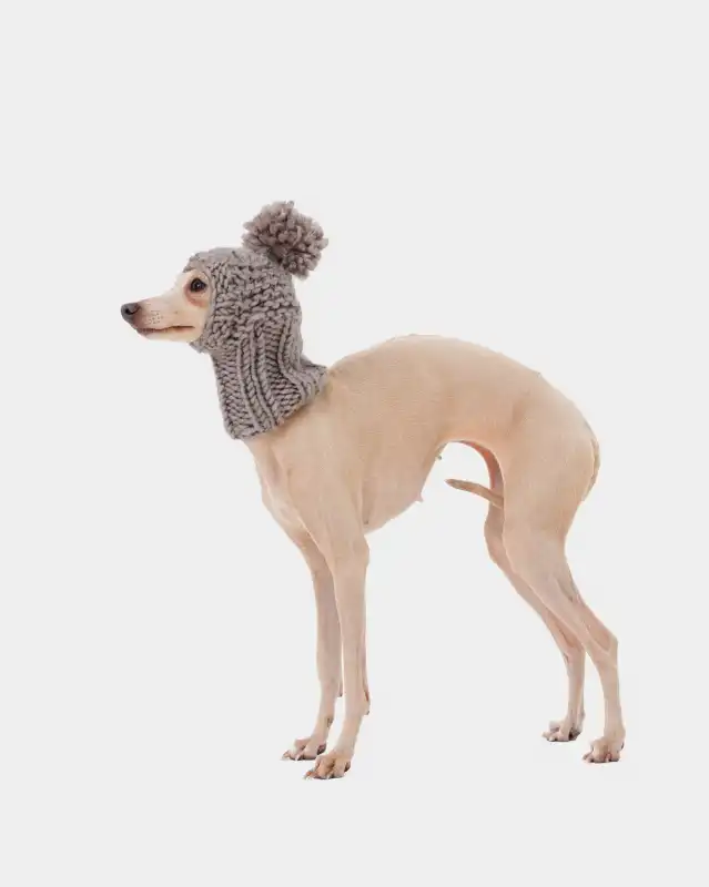 cosmeticosveganosmascotas-449889