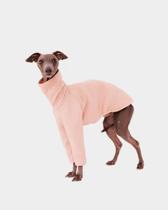 cosmeticosveganosmascotas-449892