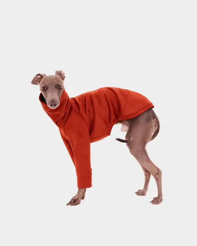cosmeticosveganosmascotas-449902