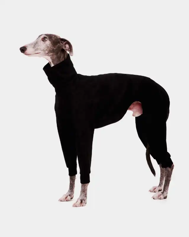 cosmeticosveganosmascotas-449909