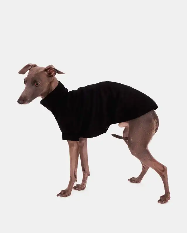 cosmeticosveganosmascotas-449922