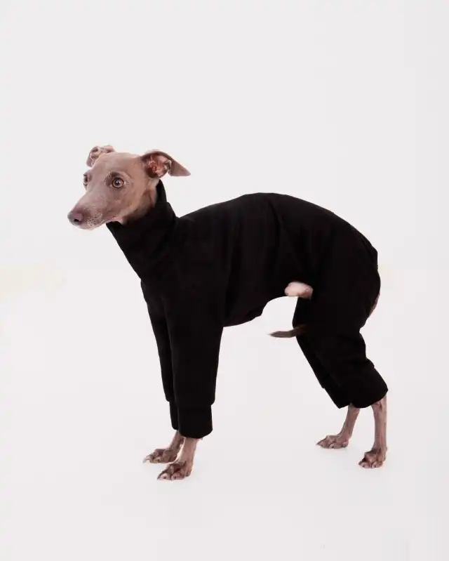 cosmeticosveganosmascotas-449923