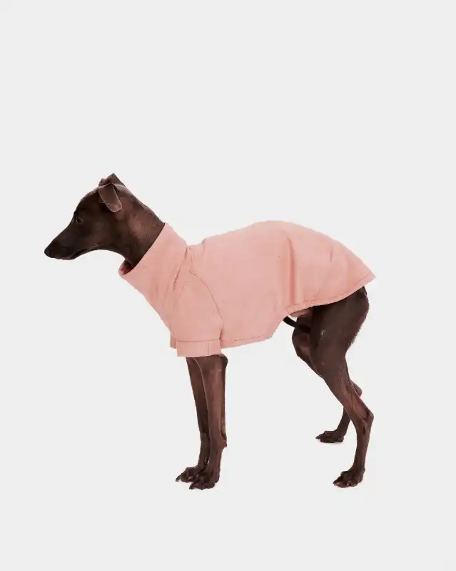 cosmeticosveganosmascotas-449927