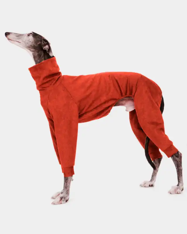 cosmeticosveganosmascotas-450594