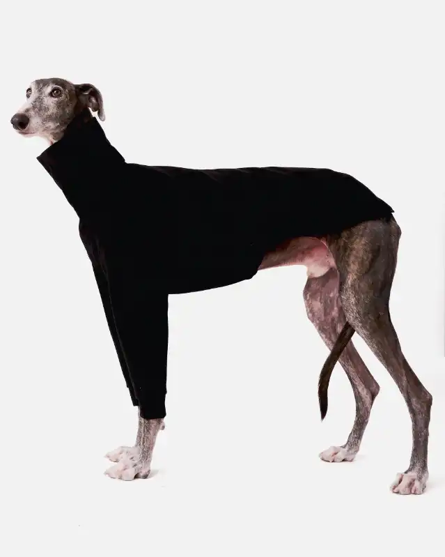 cosmeticosveganosmascotas-450603