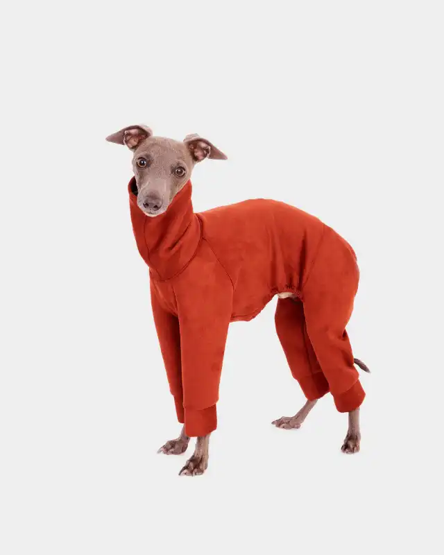 cosmeticosveganosmascotas-450612