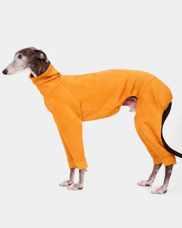 cosmeticosveganosmascotas-450617