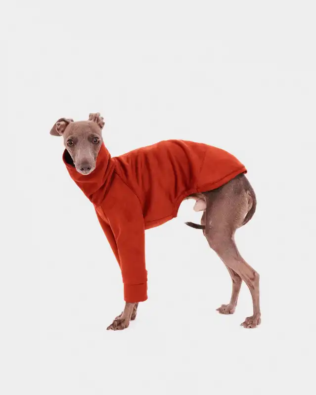 cosmeticosveganosmascotas-450622