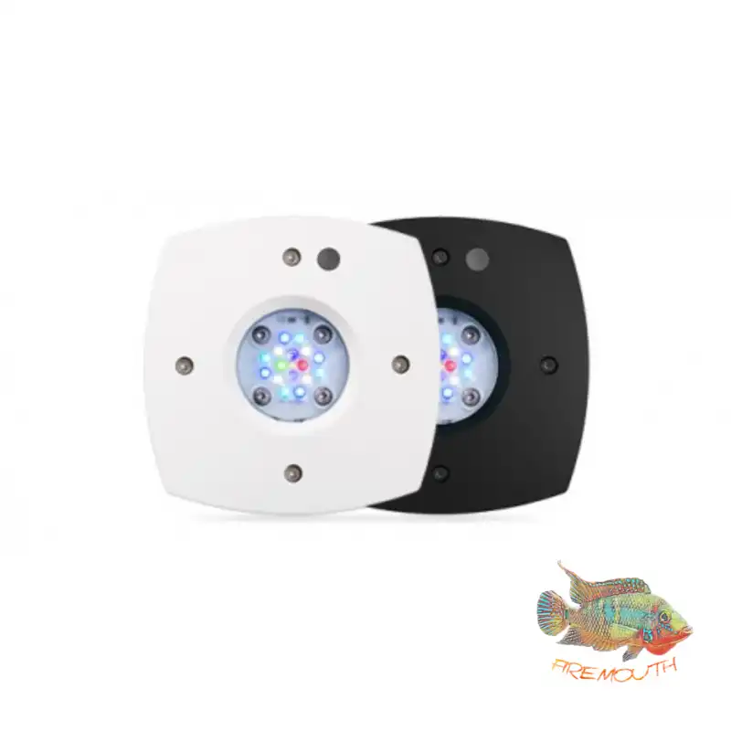 cosmeticosveganosmascotas-450919