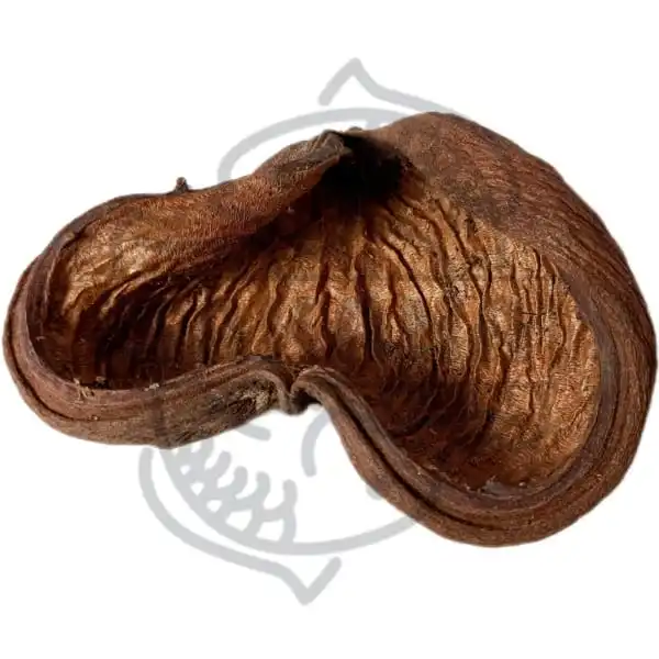 cosmeticosveganosmascotas-451140