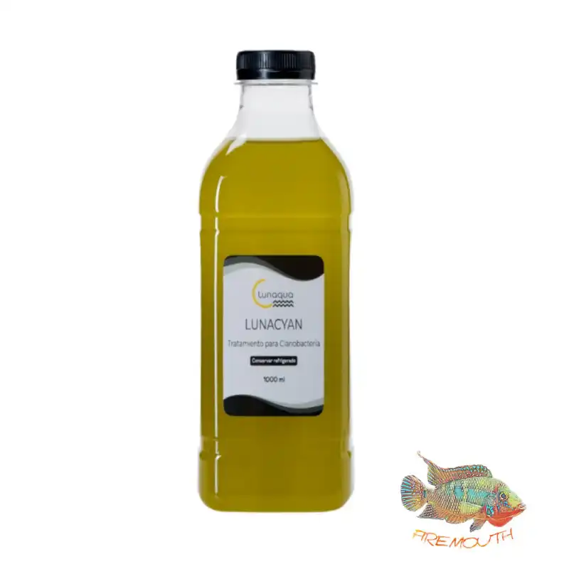 cosmeticosveganosmascotas-451436