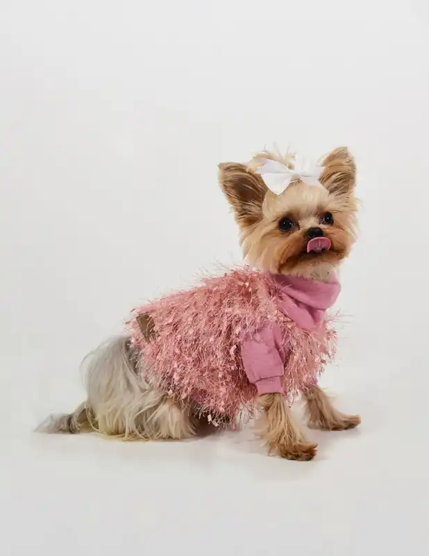cosmeticosveganosmascotas-456275