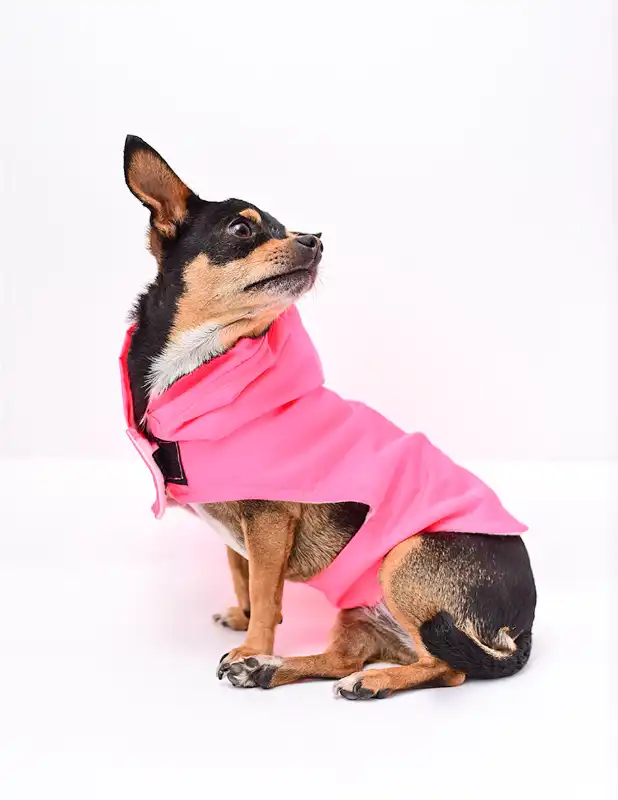 cosmeticosveganosmascotas-456370