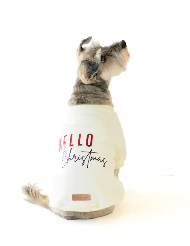 cosmeticosveganosmascotas-456419