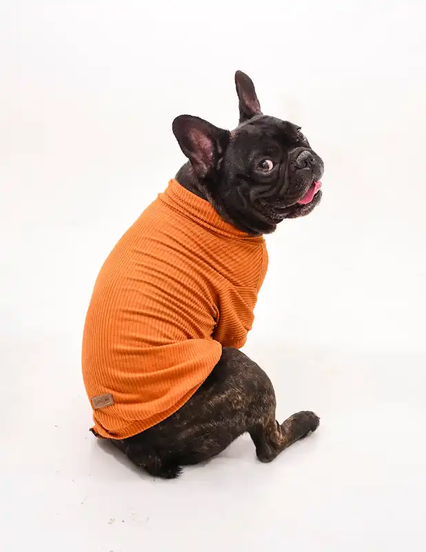 cosmeticosveganosmascotas-456462