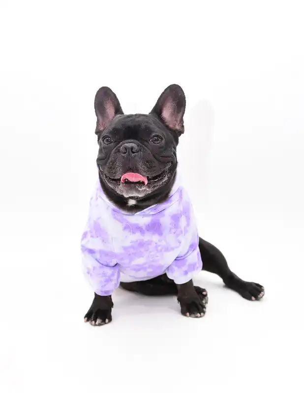 cosmeticosveganosmascotas-456540