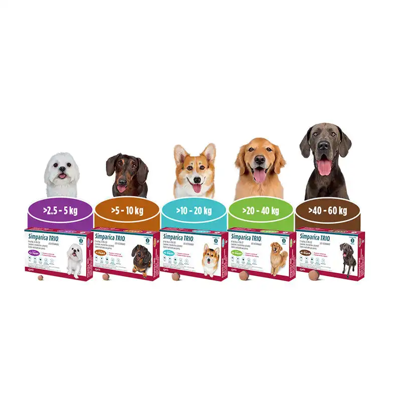 cosmeticosveganosmascotas-457054