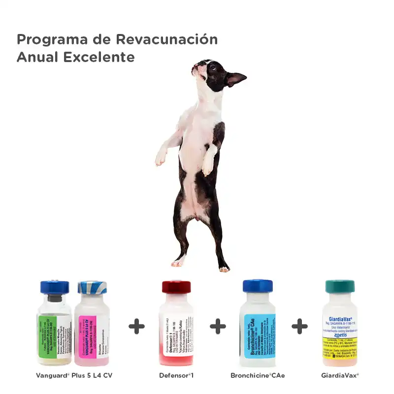 cosmeticosveganosmascotas-457564