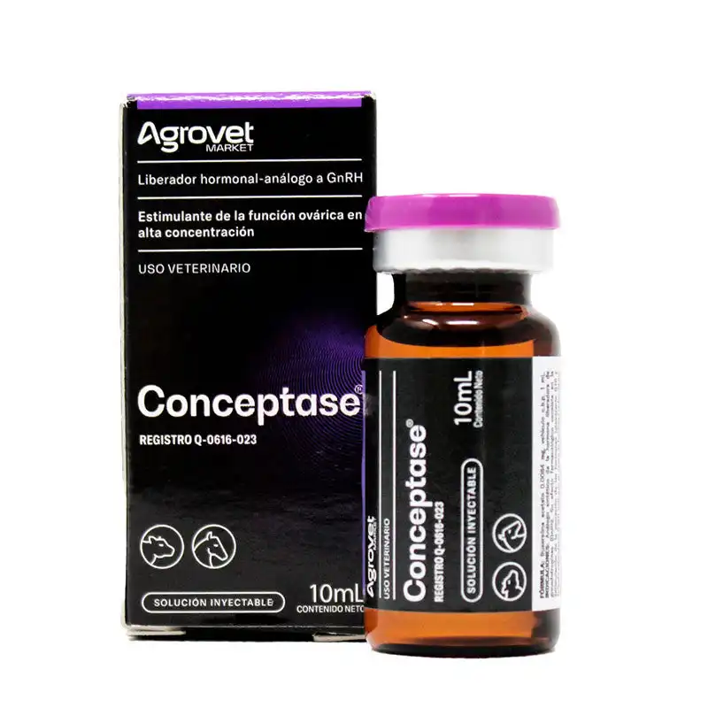cosmeticosveganosmascotas-457999