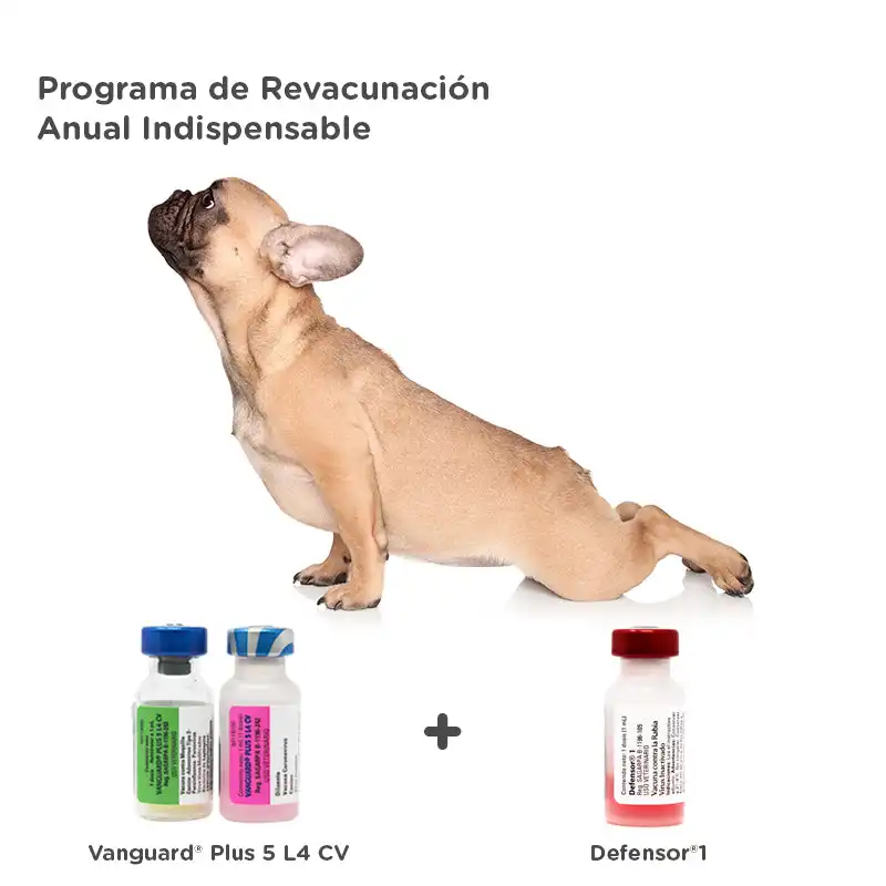 cosmeticosveganosmascotas-458438