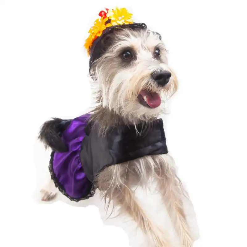 cosmeticosveganosmascotas-459838