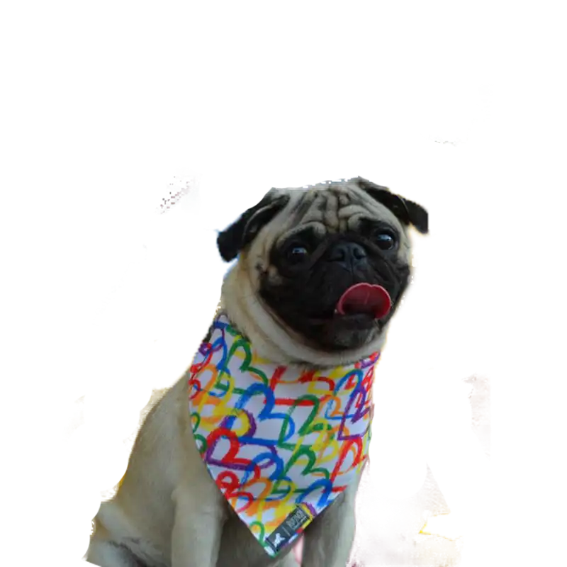 cosmeticosveganosmascotas-459862