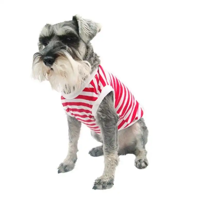 cosmeticosveganosmascotas-461319