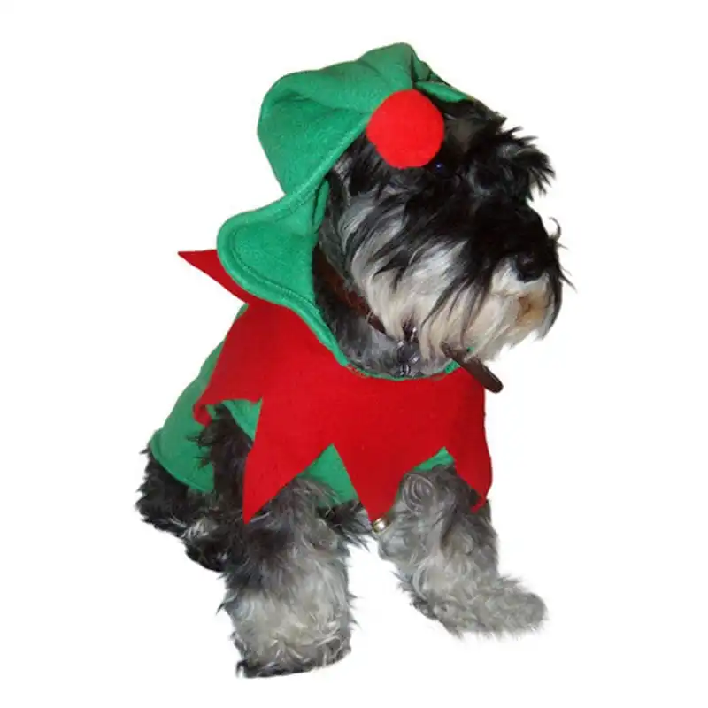 cosmeticosveganosmascotas-461430