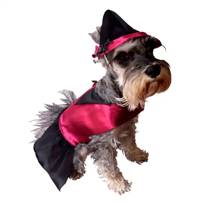 cosmeticosveganosmascotas-461462