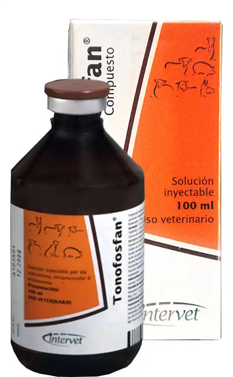 cosmeticosveganosmascotas-468248