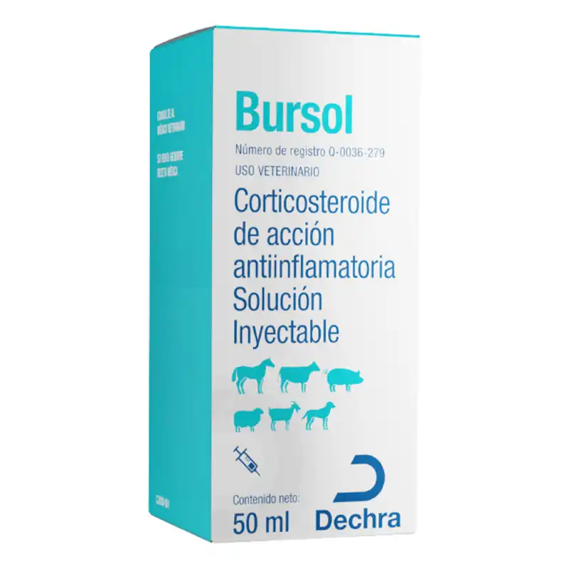 cosmeticosveganosmascotas-473412
