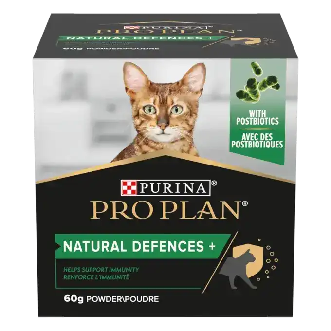 cosmeticosveganosmascotas-474031
