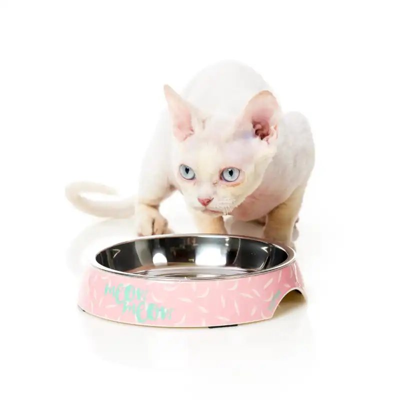 cosmeticosveganosmascotas-476062