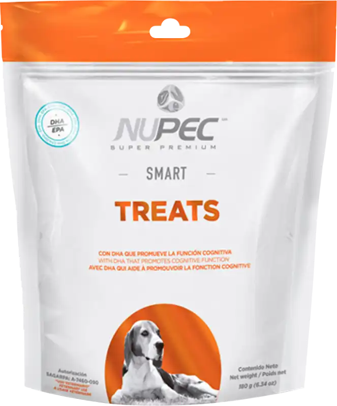 cosmeticosveganosmascotas-477299