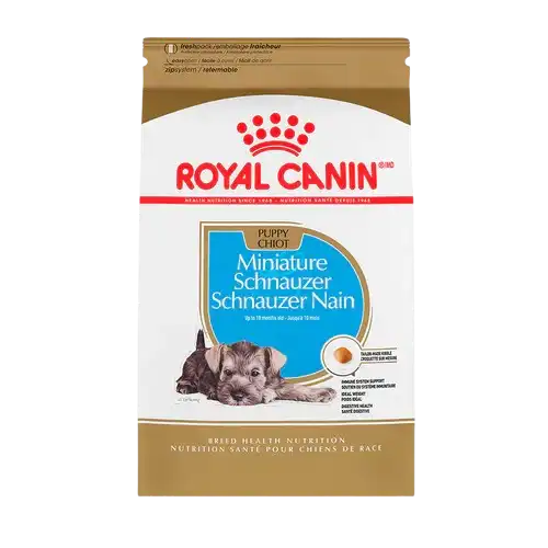 cosmeticosveganosmascotas-477329