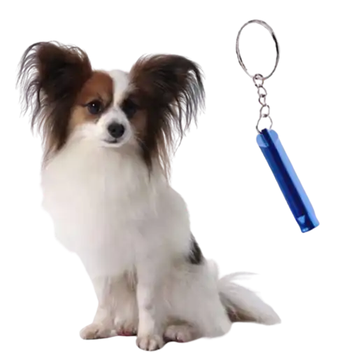 cosmeticosveganosmascotas-478116