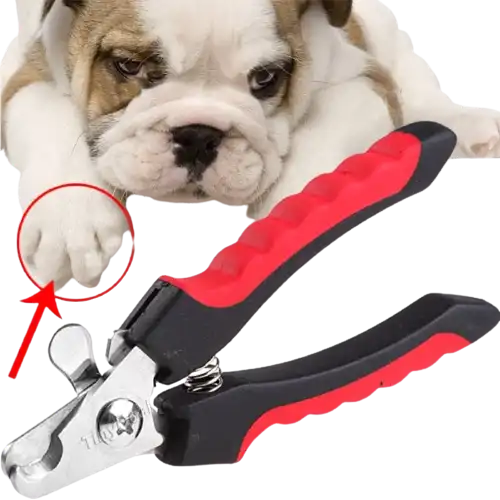 cosmeticosveganosmascotas-478154