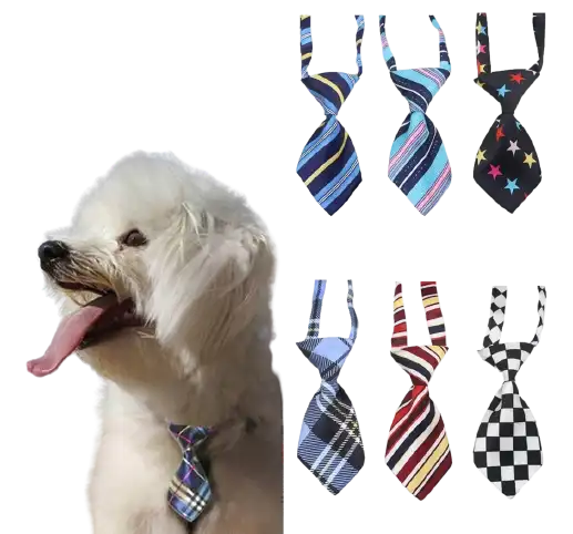 cosmeticosveganosmascotas-478163