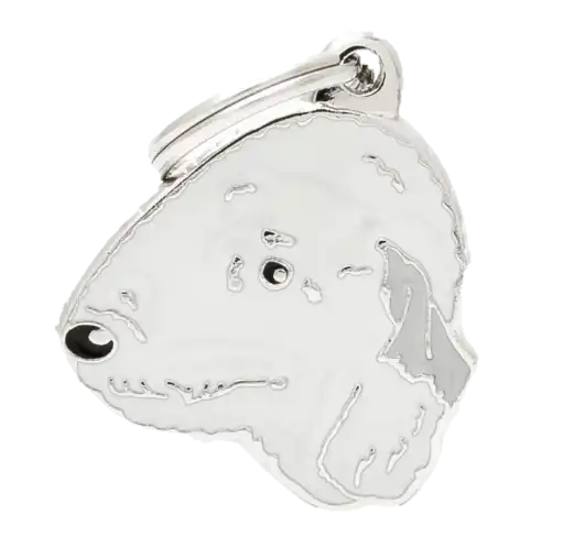 cosmeticosveganosmascotas-478211