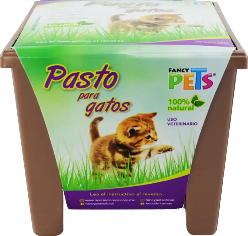 cosmeticosveganosmascotas-478342