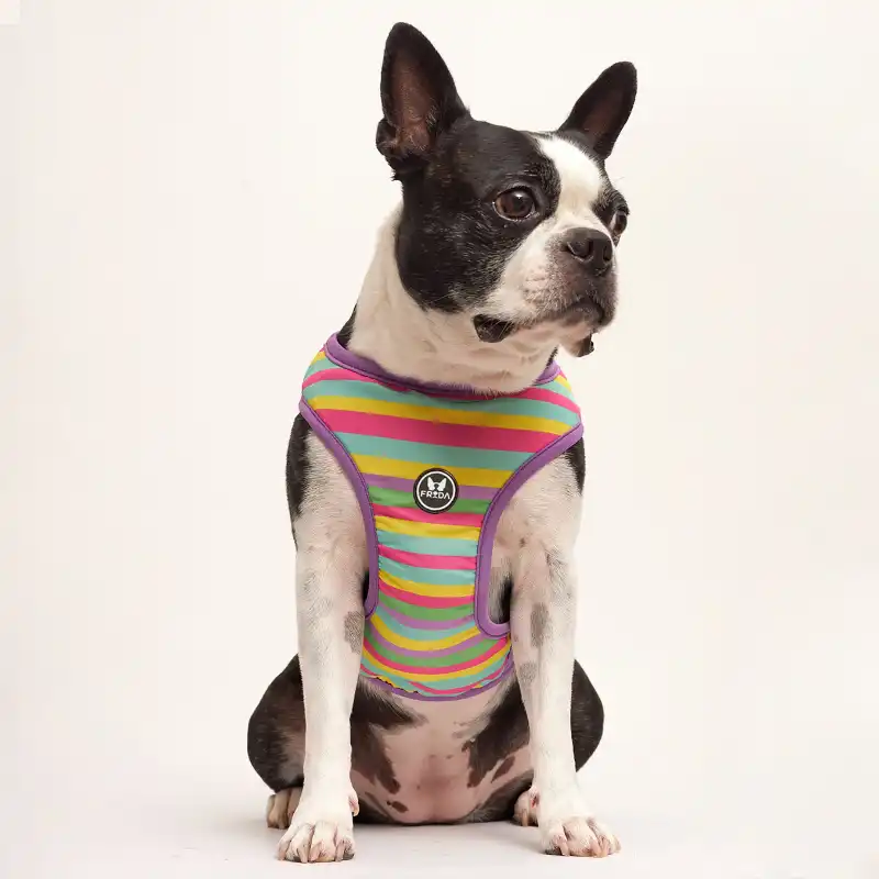 cosmeticosveganosmascotas-479386