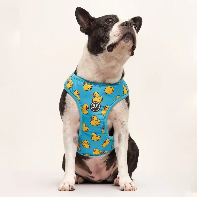 cosmeticosveganosmascotas-479449
