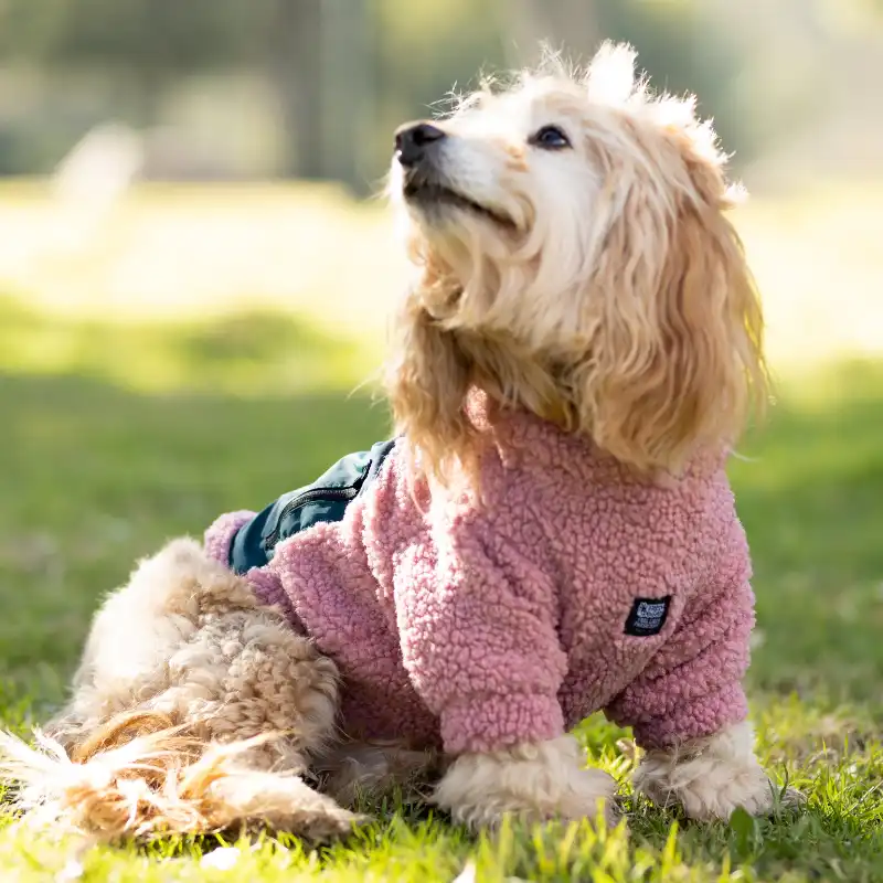 cosmeticosveganosmascotas-480058